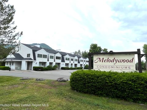 Photo of 7625 Main Street #A6, Hunter, NY 12442 (MLS # 20261374)