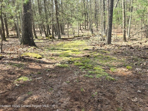 Vacant Land For Sale - LOT #5 Evergreen Drive<br/> Saugerties, NY 12477
