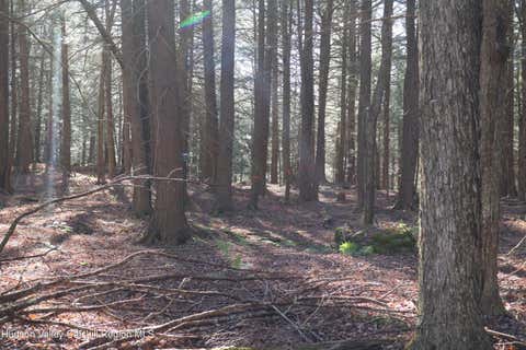 Vacant Land For Sale - TBD Hall Road<br/> Delaware County, Margaretville, NY 12455