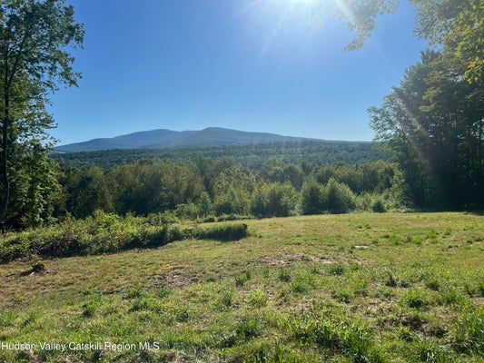 0 BLUEBERRY ESTATE, PRATTSVILLE, NY 12468 - Image 599d61ba4f76a7284a7198198582f583/3699873918
