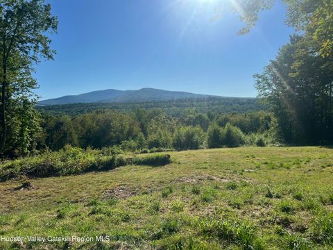 Vacant Land For Sale - Blueberry Estate<br/> Prattsville, NY 12468