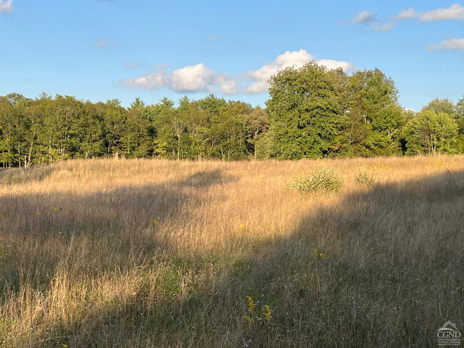 Woodward Hill, Hicks Hill, Roads, Pine Plains, New York image 9