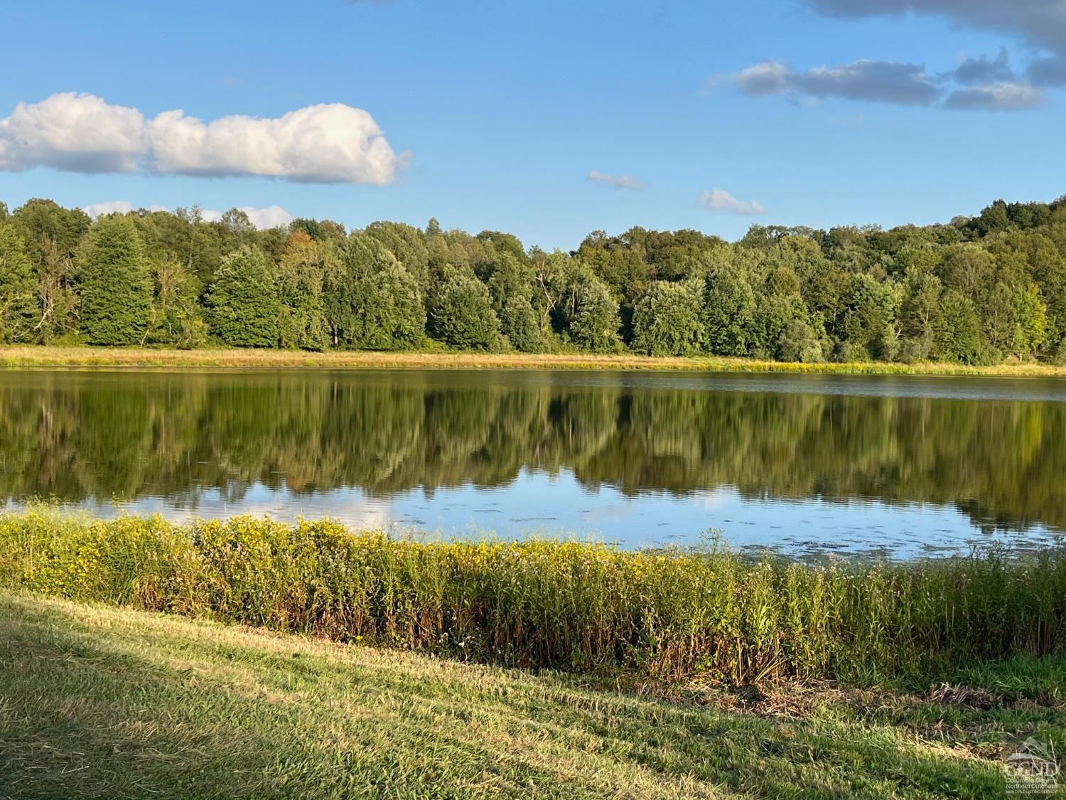 Property for Sale at Woodward Hill  Hicks Hill  Roads, Pine Plains, New York -  - $36,000,000