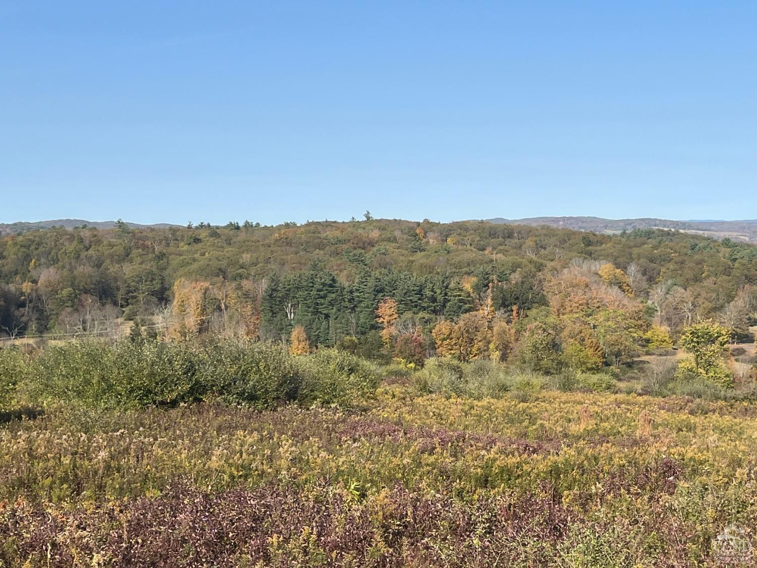 Woodward Hill, Hicks Hill, Roads, Pine Plains, New York image 6