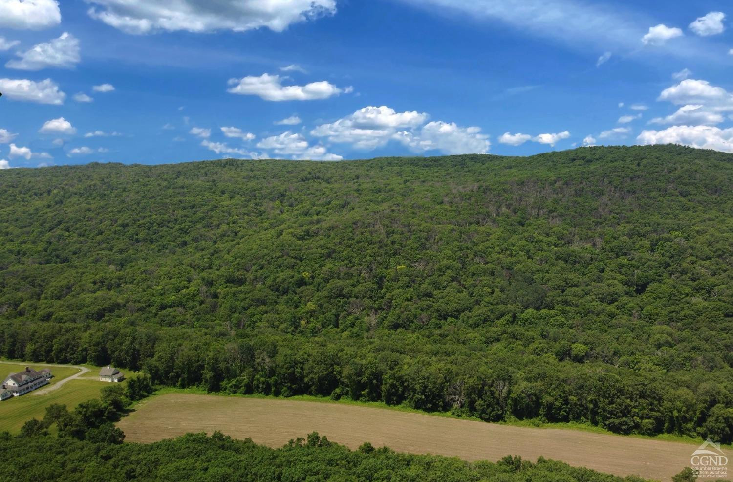 Cascade Mt Perrys Corners Road, Amenia, New York -  - 