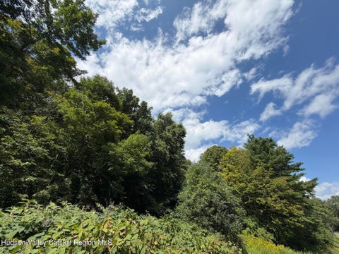 Vacant Land For Sale - Ny 22<br/> Hillsdale, NY 12529