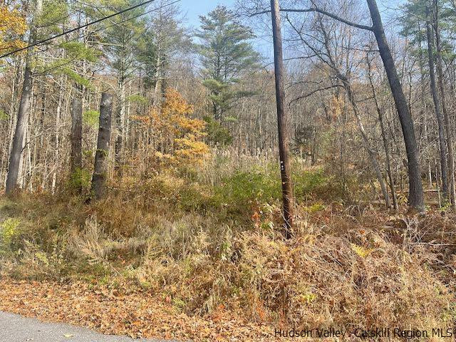103 Underhill Road, Catskill, New York image 4