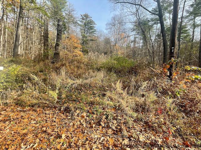 103 Underhill Road, Catskill, New York image 5