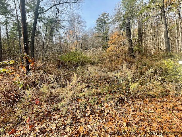 103 Underhill Road, Catskill, New York image 3