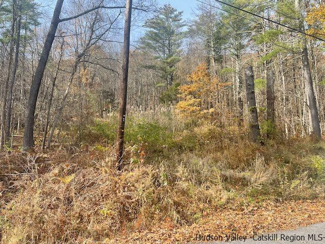 103 Underhill Road, Catskill, New York image 2