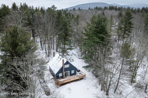 Photo of 2232 County Road 23c, East Jewett, NY 12424 (MLS # 20260065)