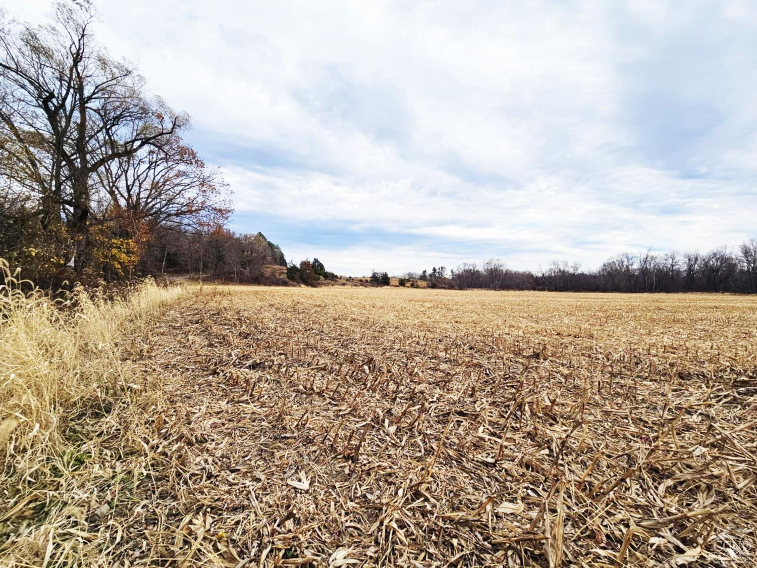274 Fingar Road, Hudson, New York image 44