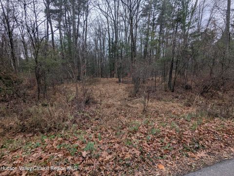 Vacant Land For Sale - 48 Ridge Road<br/> Shokan, NY 12481
