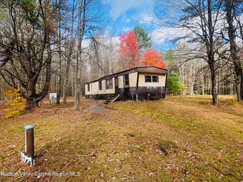 Photo of 238 Buel Road, Gilboa, NY 12076 (MLS # 20255327)
