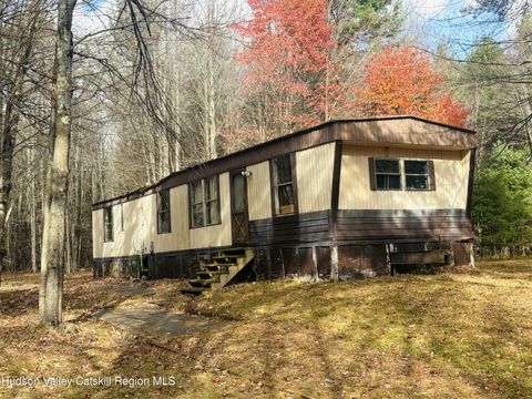 Photo of 238 Buel Road, Gilboa, NY 12076 (MLS # 20255327)