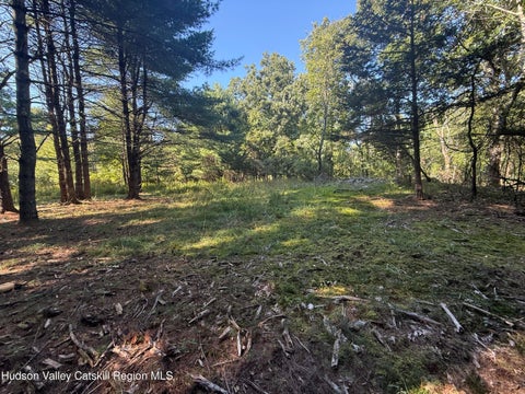 Vacant Land For Sale - TBD County Rte 51<br/> New Baltimore, NY 12124