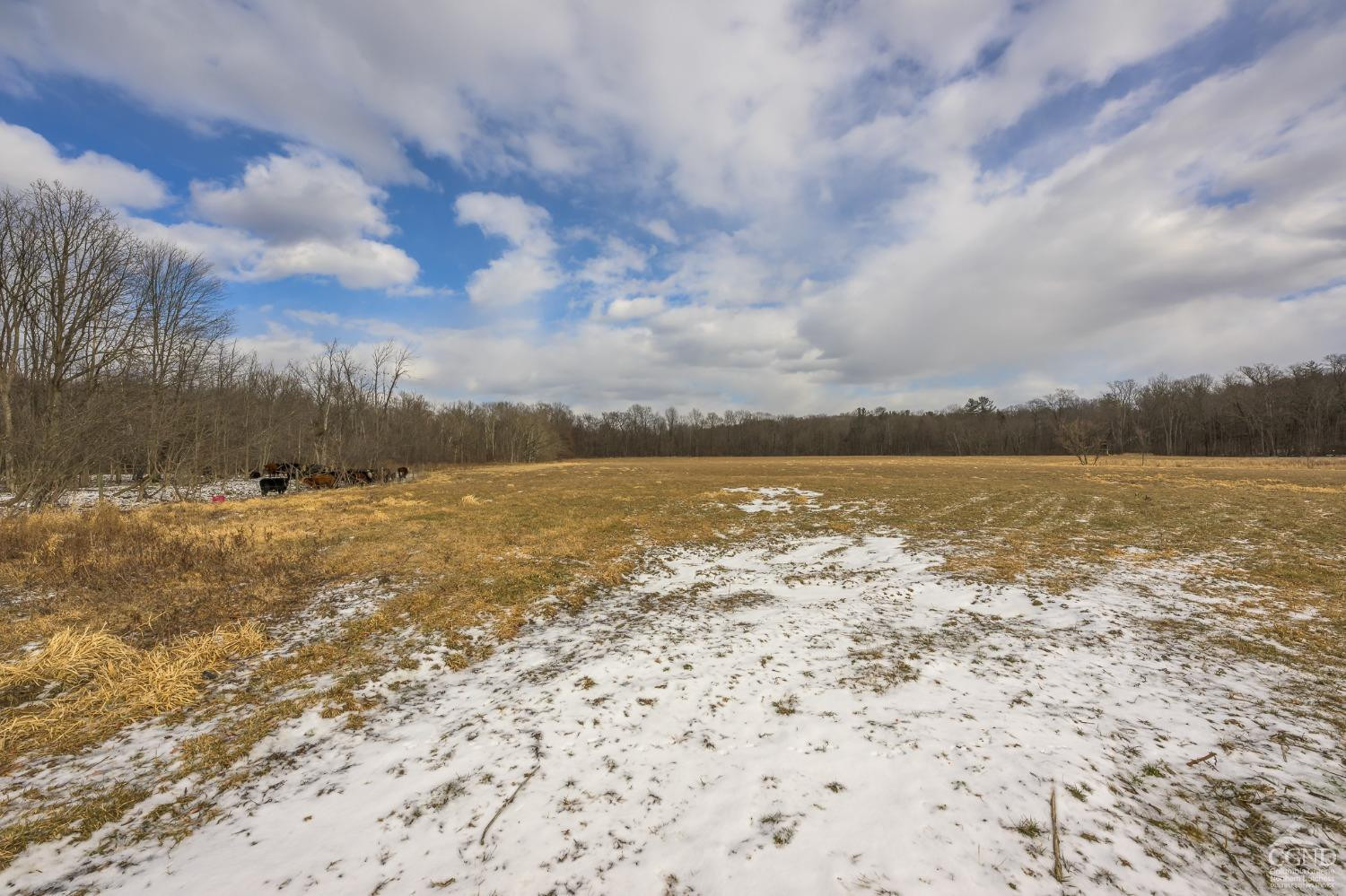 1414 Ny-9h, Ghent, New York image 29