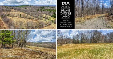 Vacant Land For Sale - Frank Slawson Road<br/> Oneonta, NY 13820