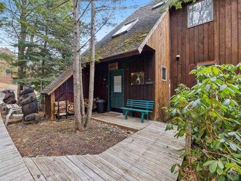 Photo of 57 Brainard Ridge Rd #3-E, Windham, NY 12496 (MLS # 20254919)