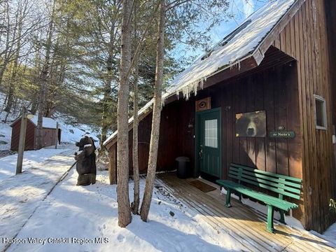 Photo of 57 Brainard Ridge Rd #3-E, Windham, NY 12496 (MLS # 20254919)