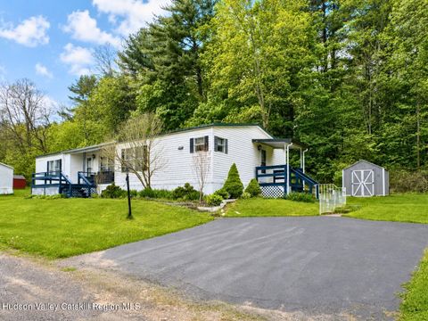 Homes For Sale - 11 Christy Avenue<br/> Catskill, NY 12414