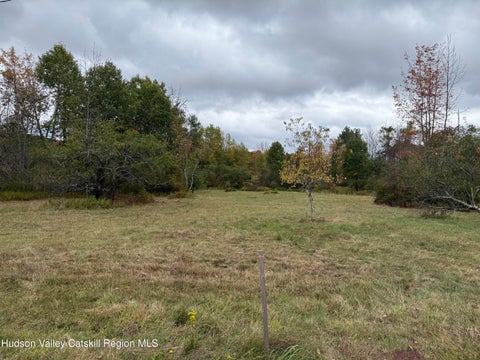 Vacant Land For Sale - 611 Mitchell Hollow Road<br/> Windham, NY 12496