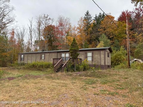 Photo of 611 Mitchell Hollow Road, Windham, NY 12496 (MLS # 20254648)