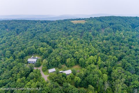 Photo of 890 Bald Mountain Road, Austerlitz, NY 12017 (MLS # 20256076)