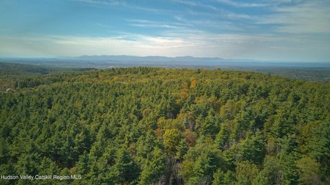 Vacant Land For Sale - Scannell Road<br/> Ghent, NY 12075