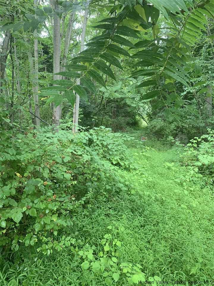 923 943 Flatbush Road, Kingston, New York image 3
