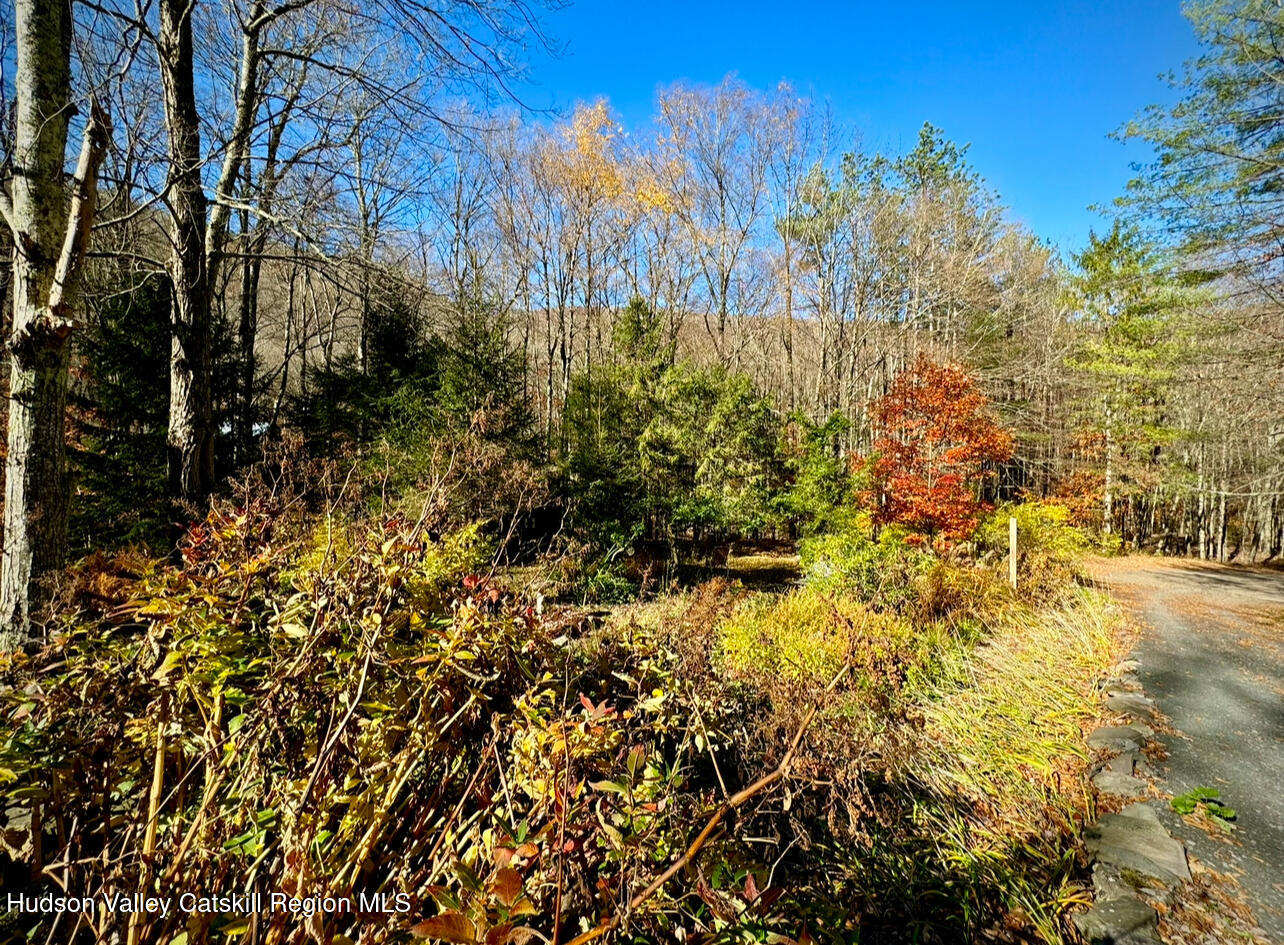 Shandaken, New York 12480, United States, 3 Bedrooms Bedrooms, ,2 BathroomsBathrooms,Residential,Active,35563
