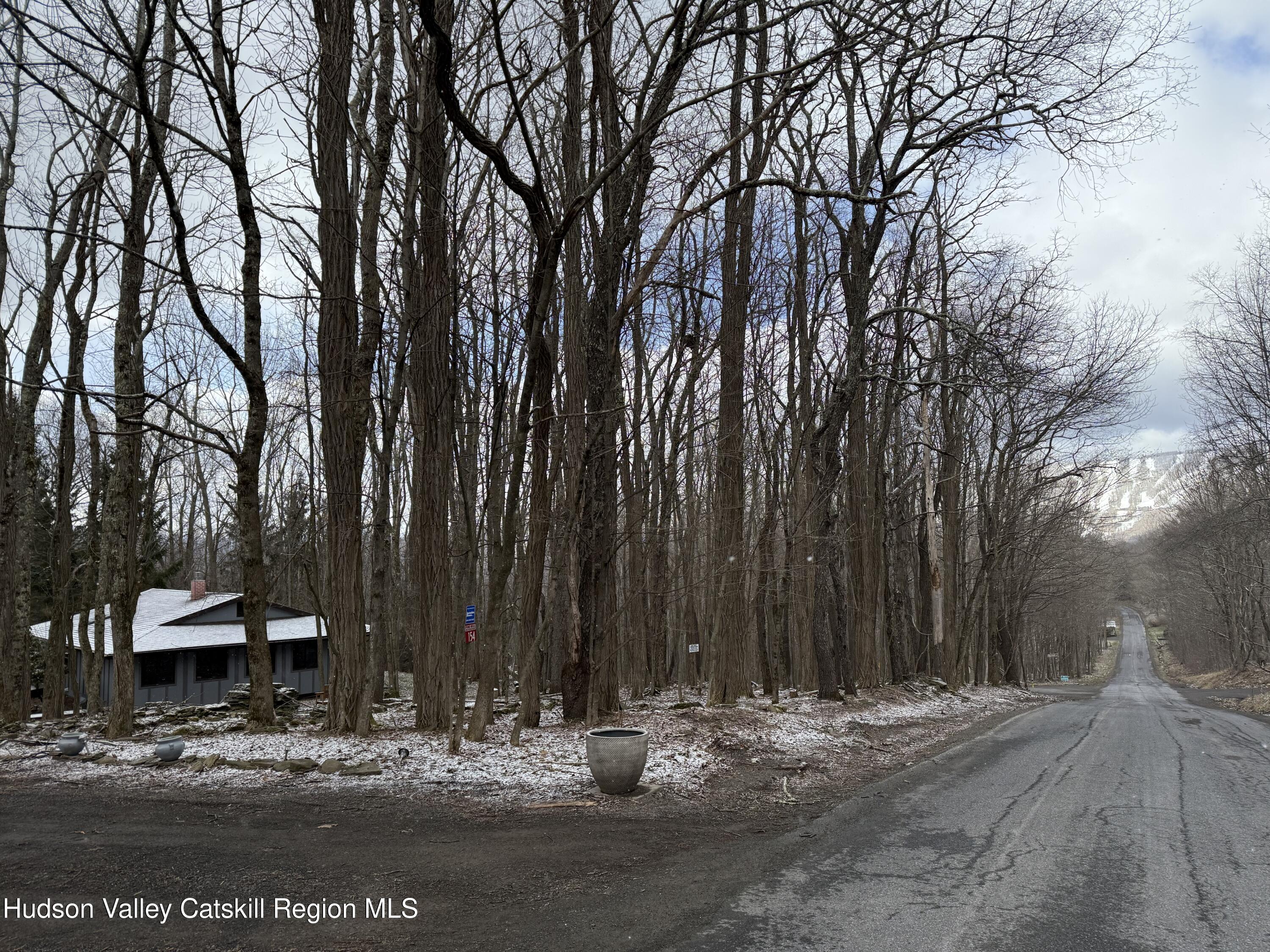 Highmount, New York 12441, United States, 3 Bedrooms Bedrooms, ,2 BathroomsBathrooms,Residential,Pending,106825