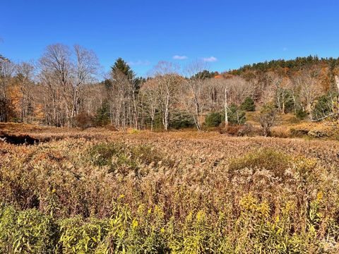 Vacant Land For Sale - 50 - 61 Dugway Rd<br/> Hillsdale, NY 12529