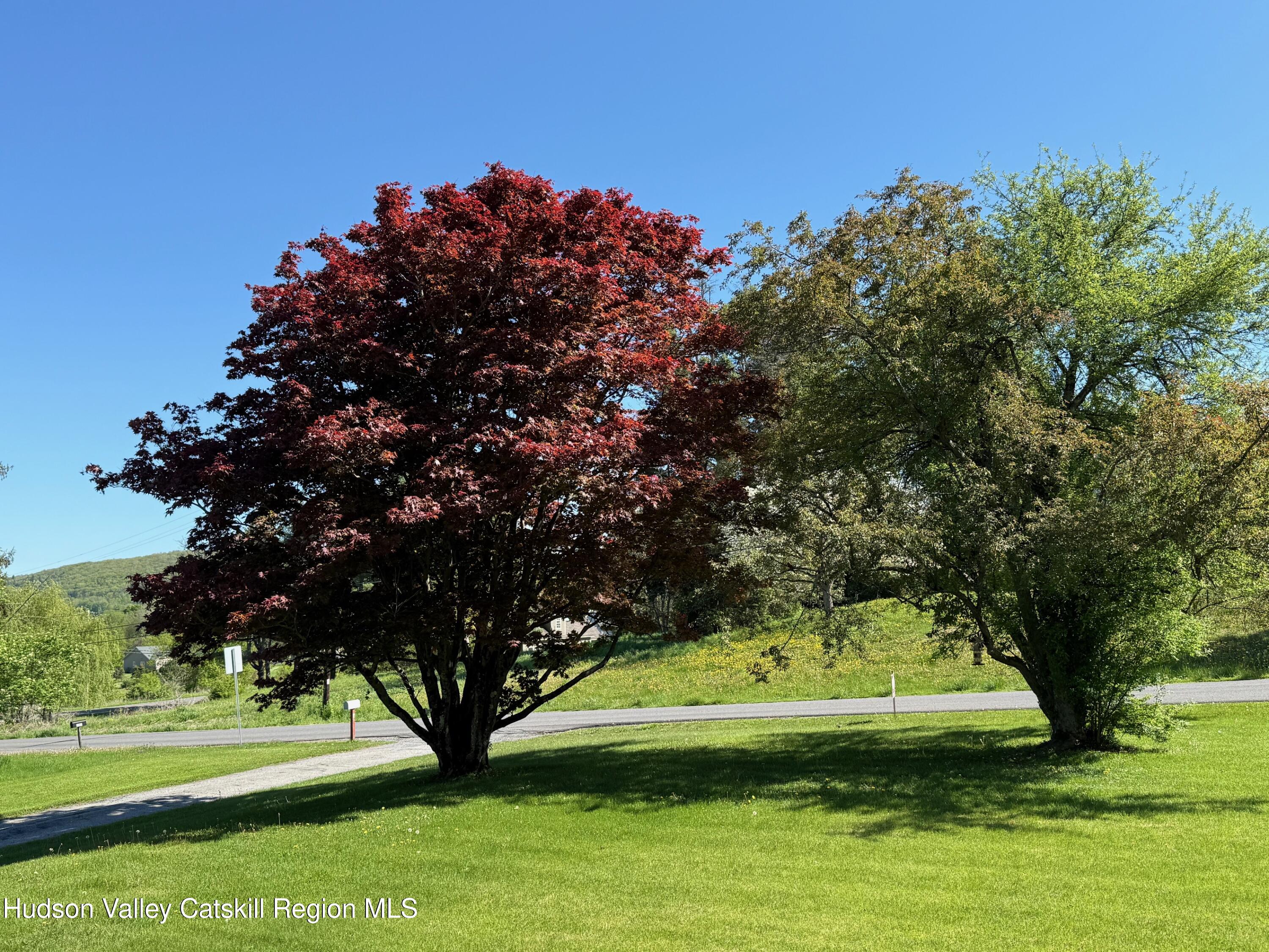 201 Beilke Road, Millerton, New York image 15