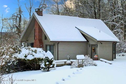 Photo of 107 Ox Road, Roxbury, NY 12474 (MLS # 20256037)