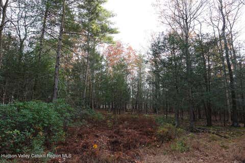 Vacant Land For Sale - 736 Manorville Road<br/> Saugerties, NY 12477