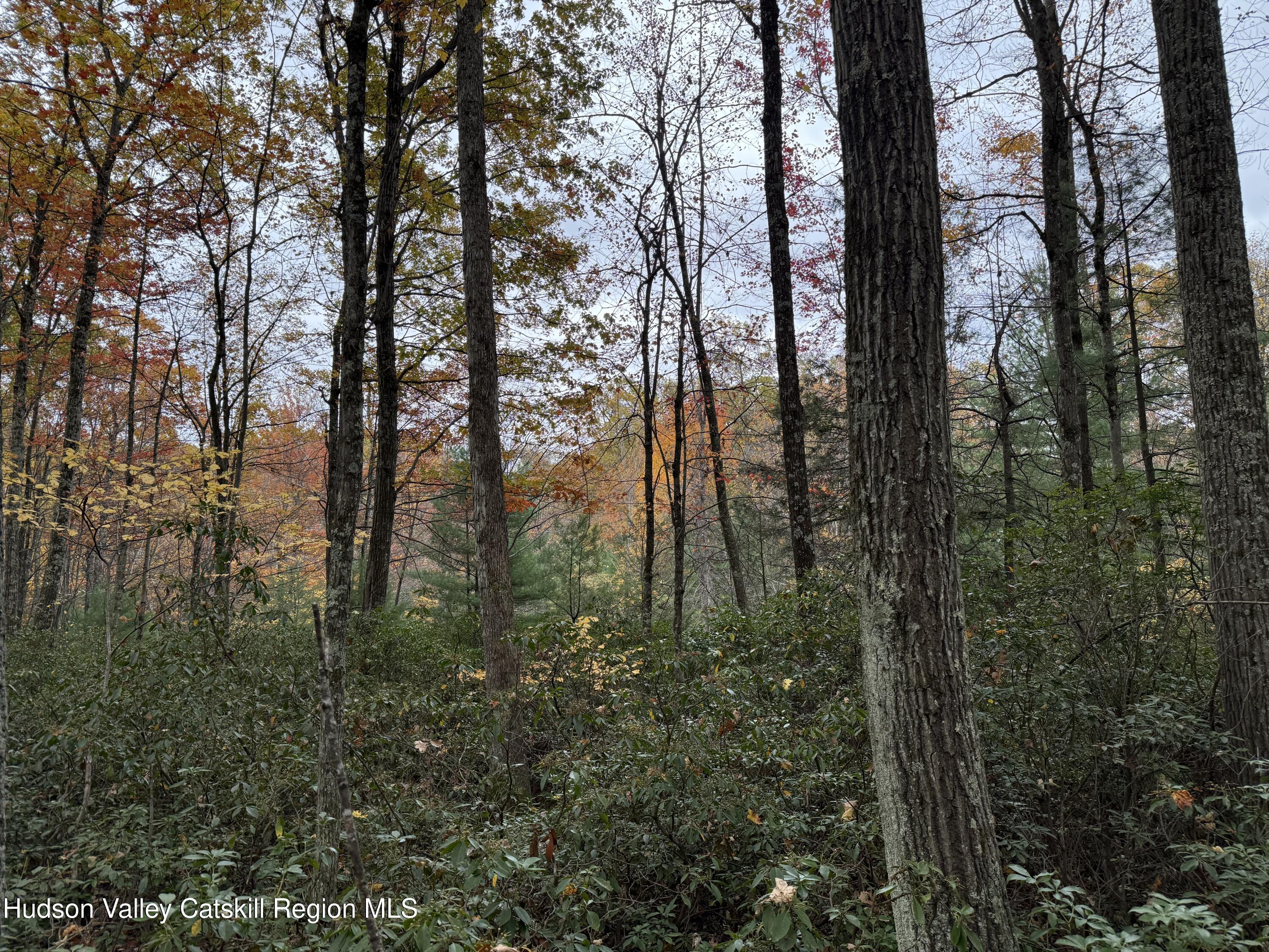 Kerhonkson, New York 12446, United States, 3 Bedrooms Bedrooms, ,1 BathroomBathrooms,Residential,Active,233681