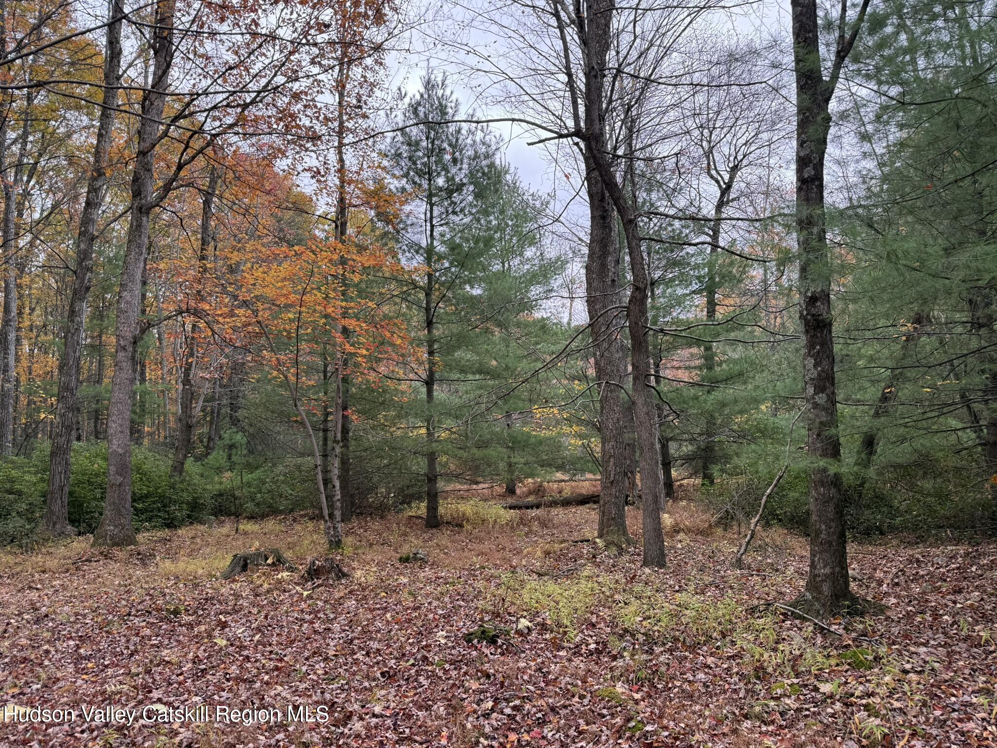 Kerhonkson, New York 12446, United States, 3 Bedrooms Bedrooms, ,1 BathroomBathrooms,Residential,Active,233681