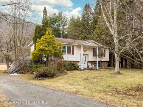 Homes For Sale - 97 Carrington Road<br/> Greene County, Windham, NY 12496