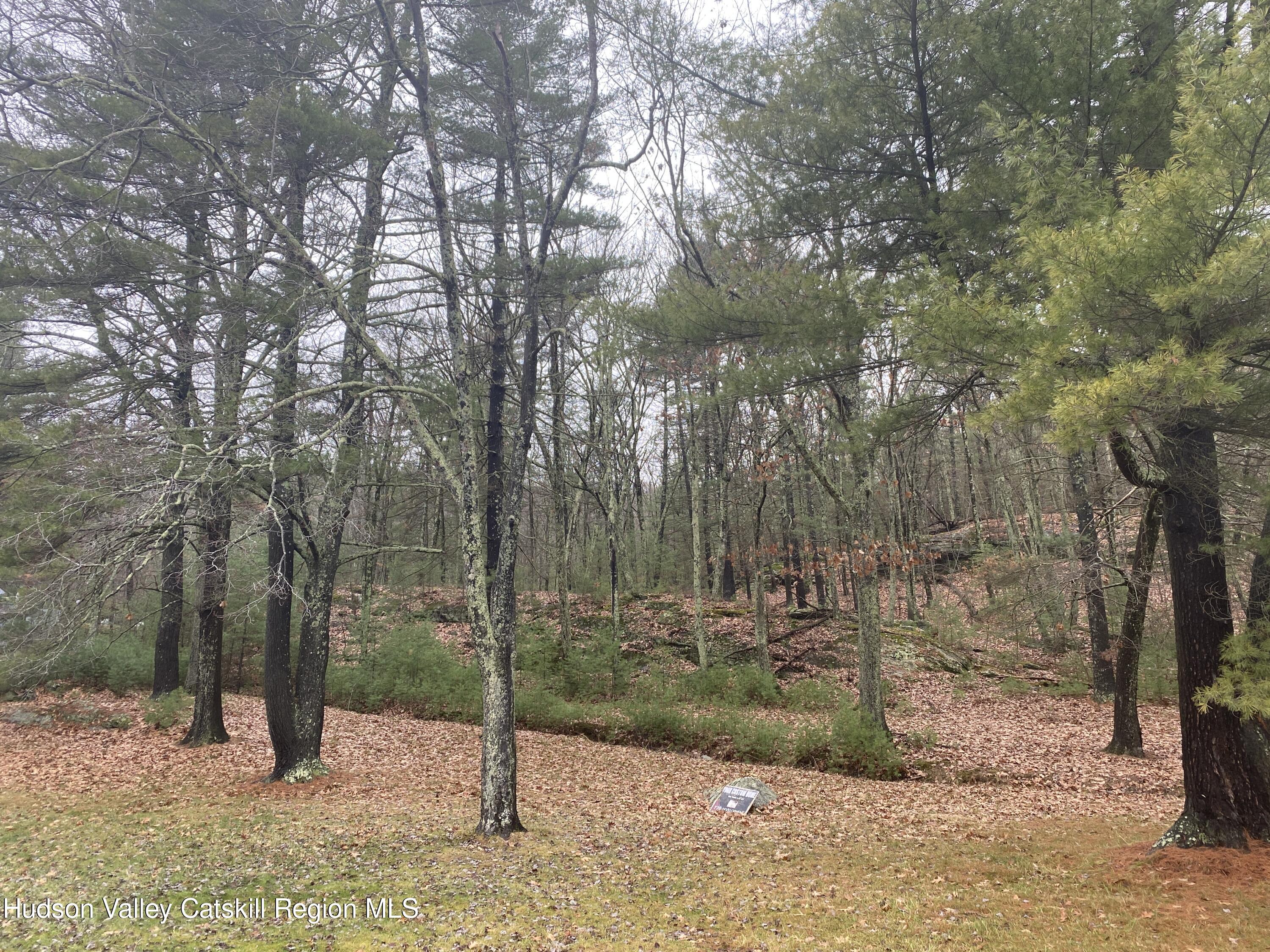 Tbd Dianne Drive, Ellenville, New York image 6