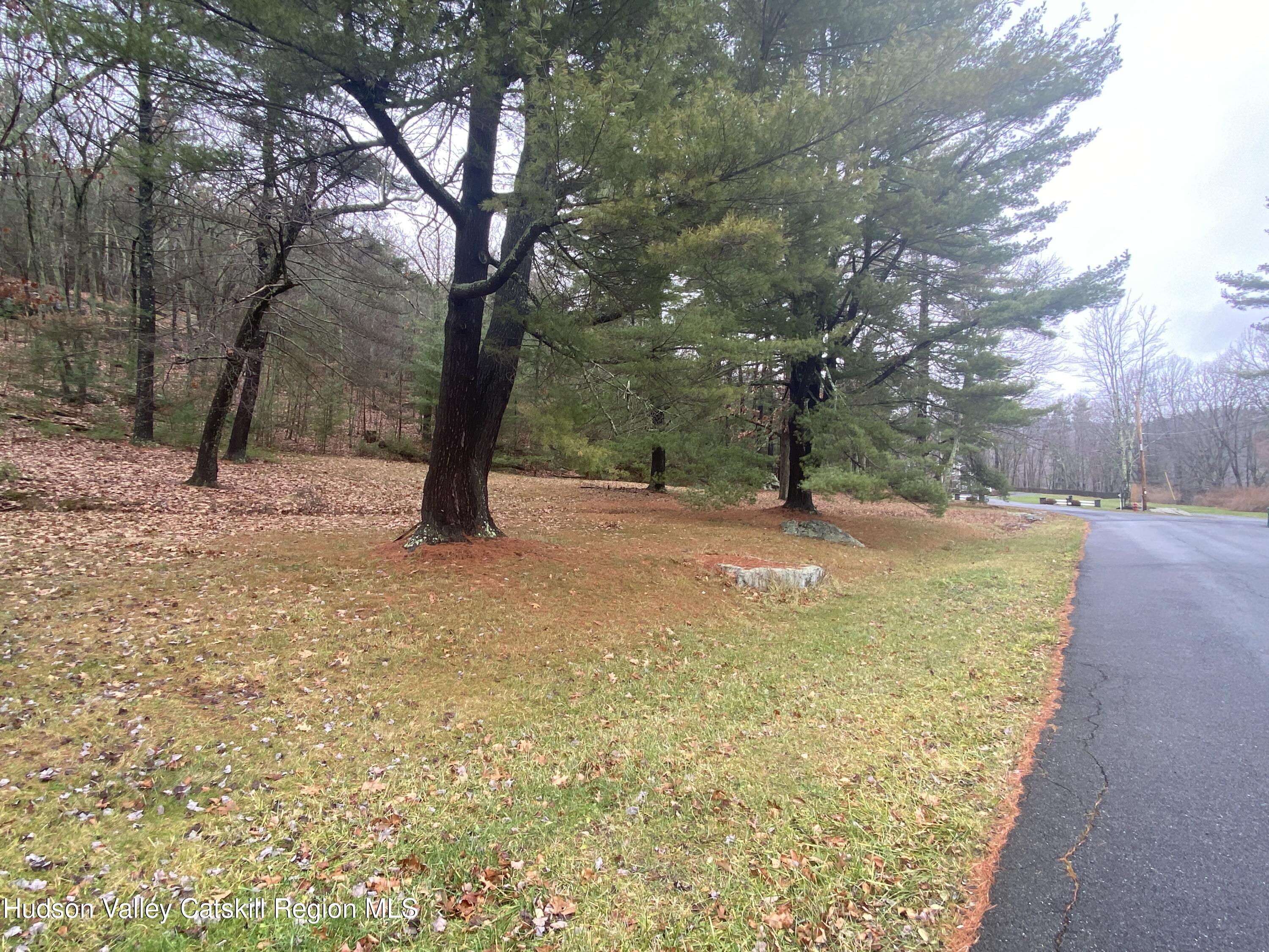 Tbd Dianne Drive, Ellenville, New York image 34