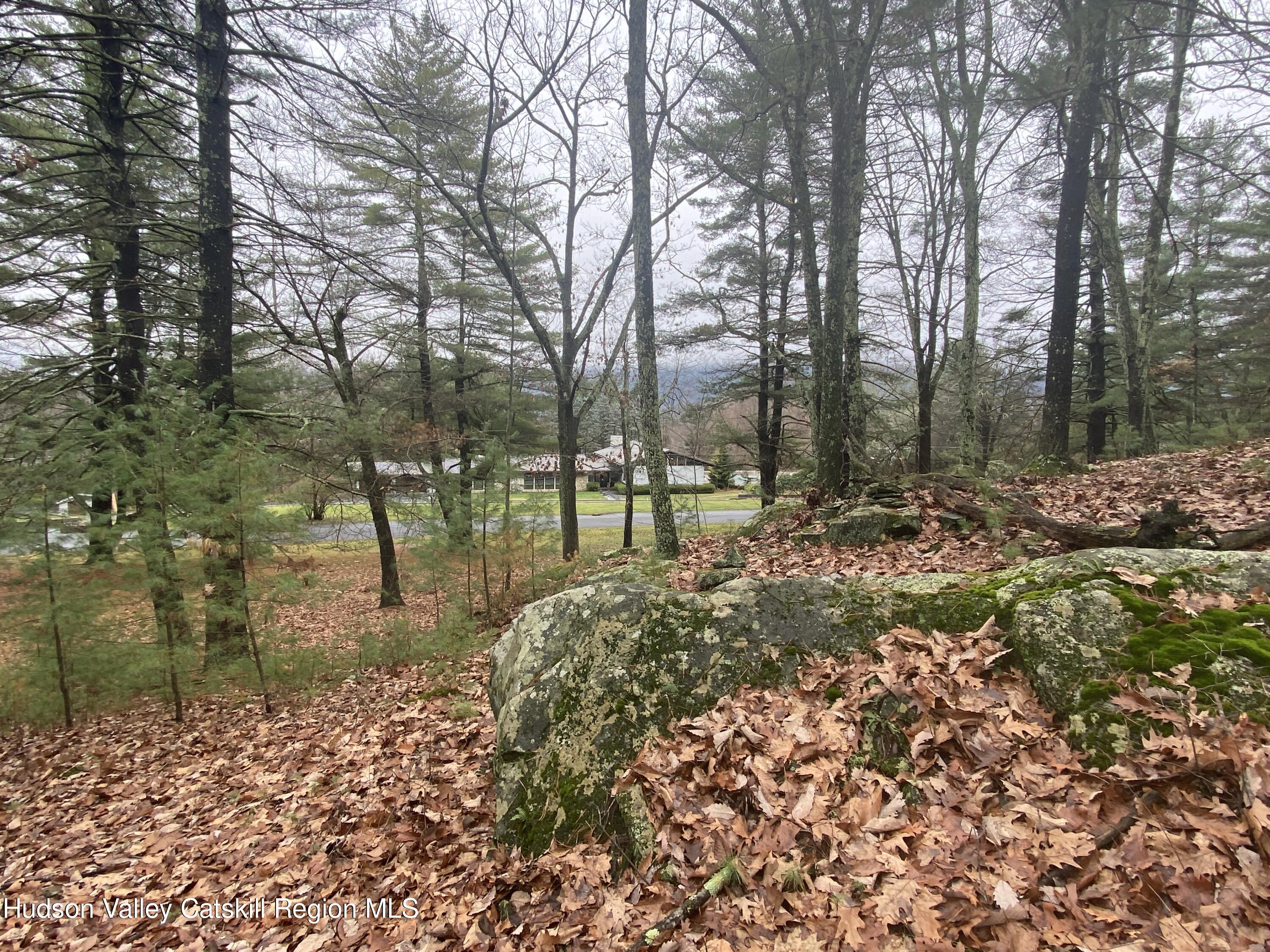 Tbd Dianne Drive, Ellenville, New York image 22
