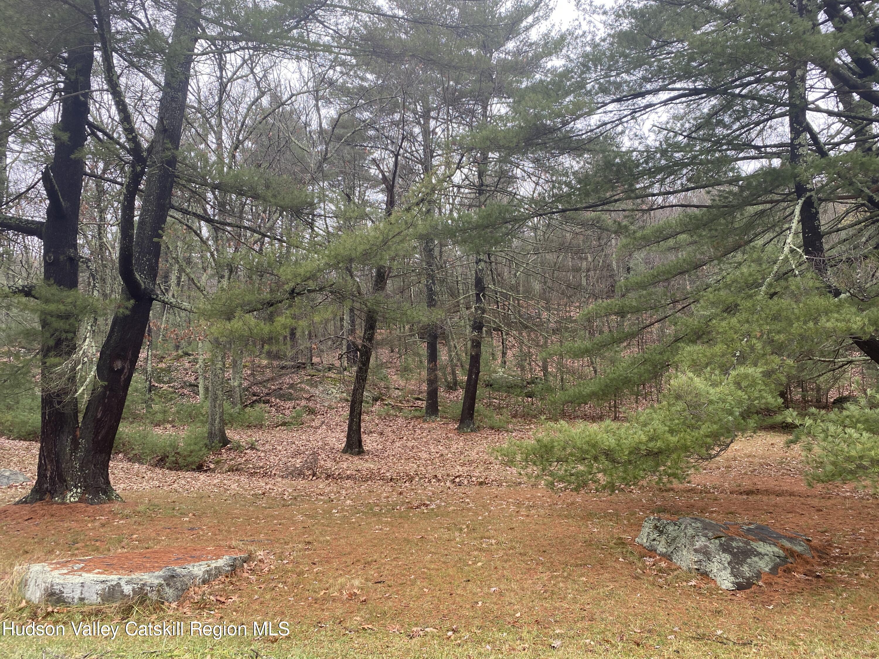 Tbd Dianne Drive, Ellenville, New York image 7
