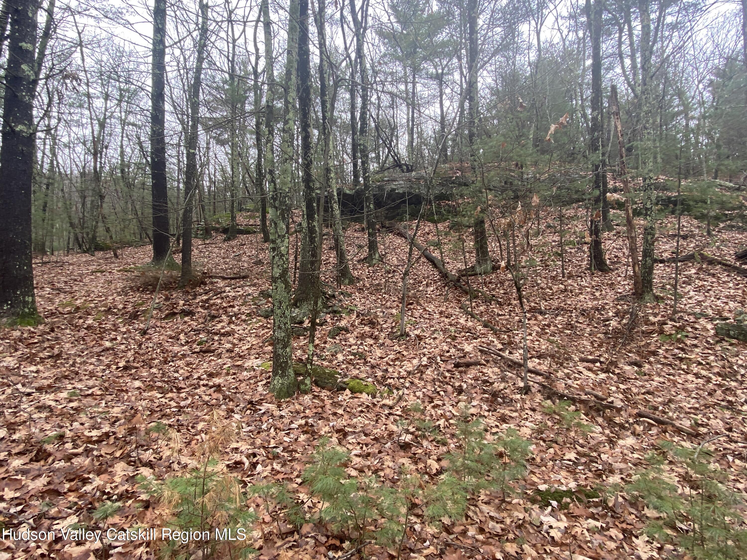 Tbd Dianne Drive, Ellenville, New York image 21
