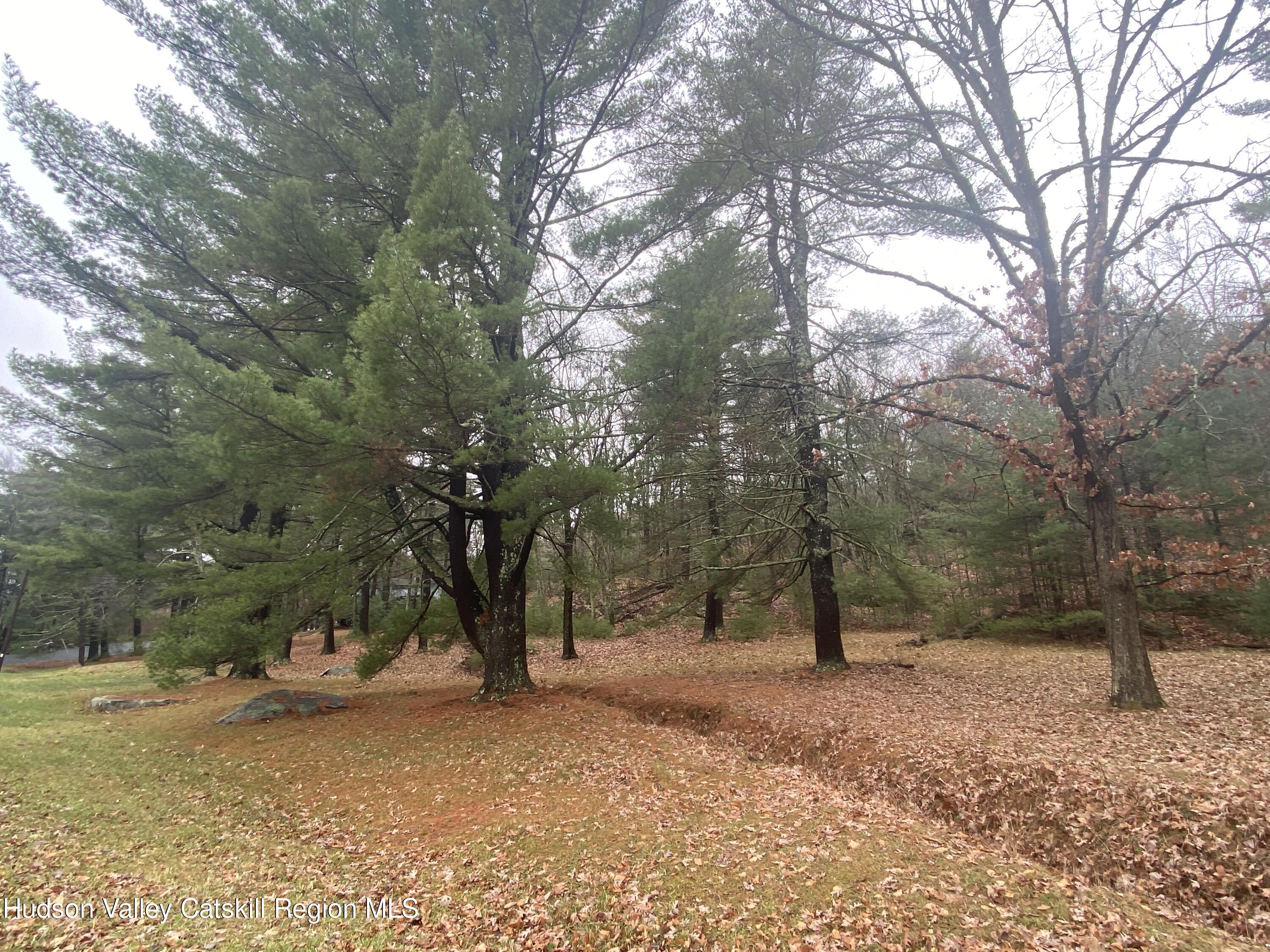 Tbd Dianne Drive, Ellenville, New York image 12