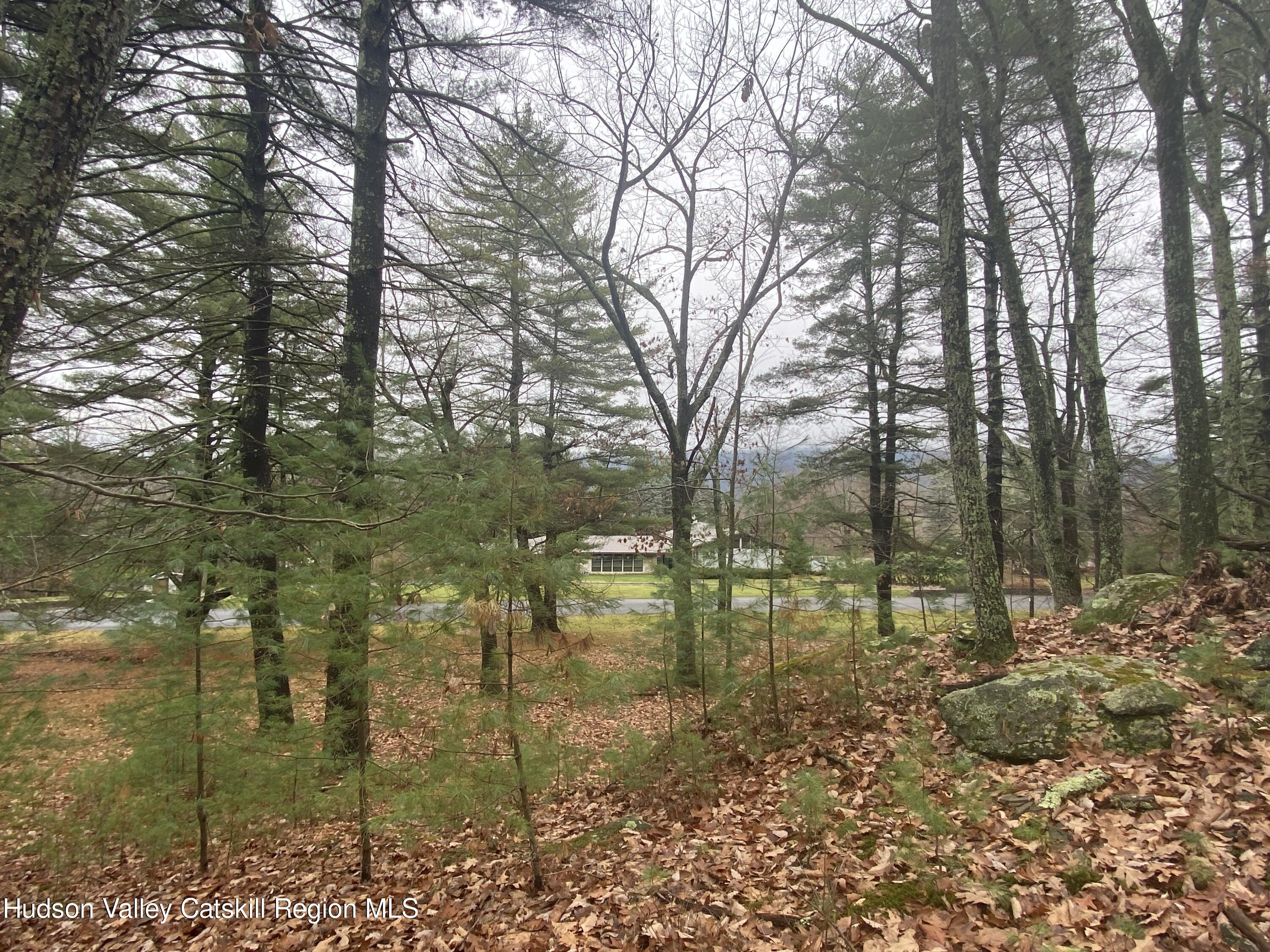 Tbd Dianne Drive, Ellenville, New York image 24