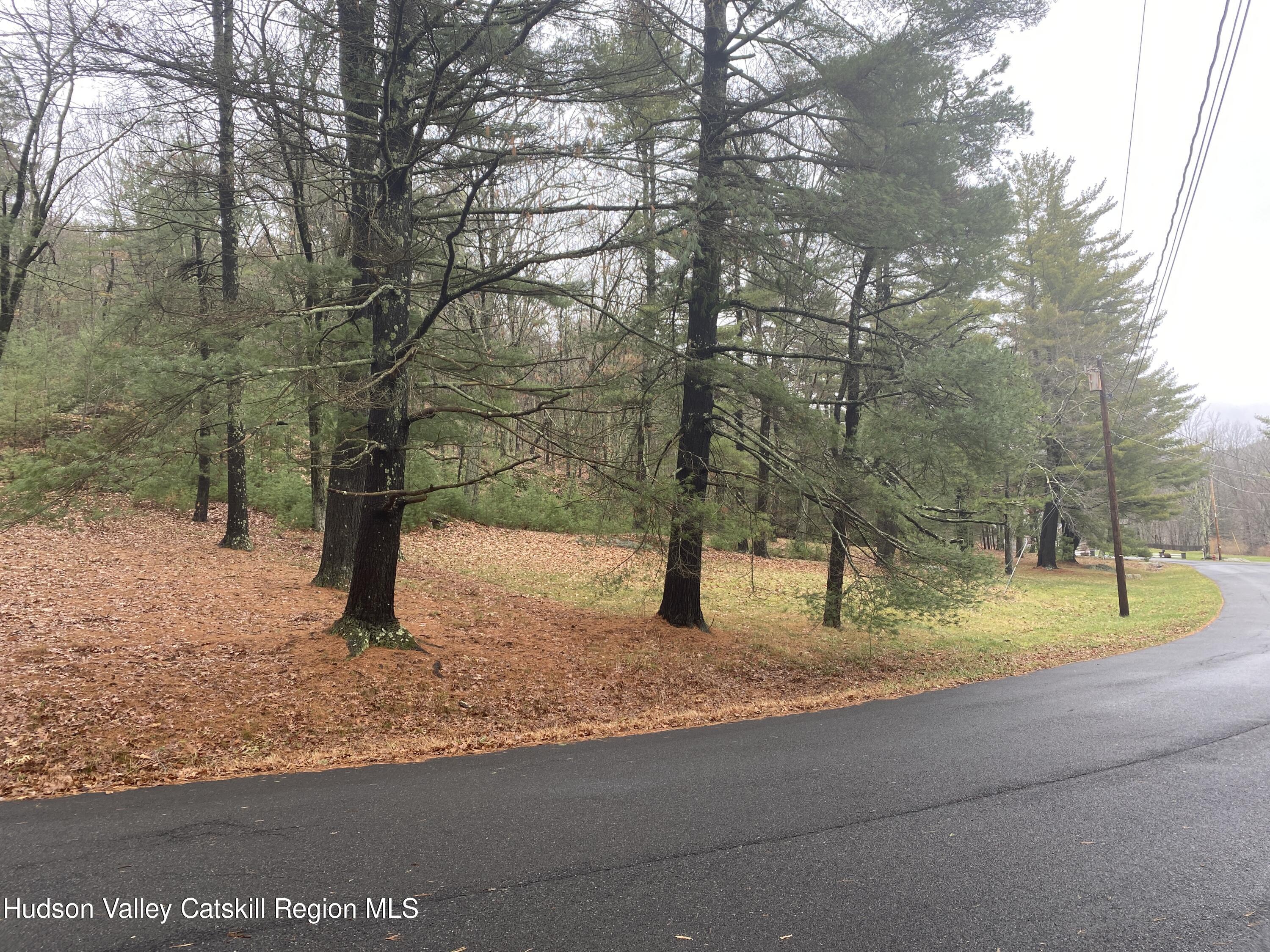 Tbd Dianne Drive, Ellenville, New York image 2