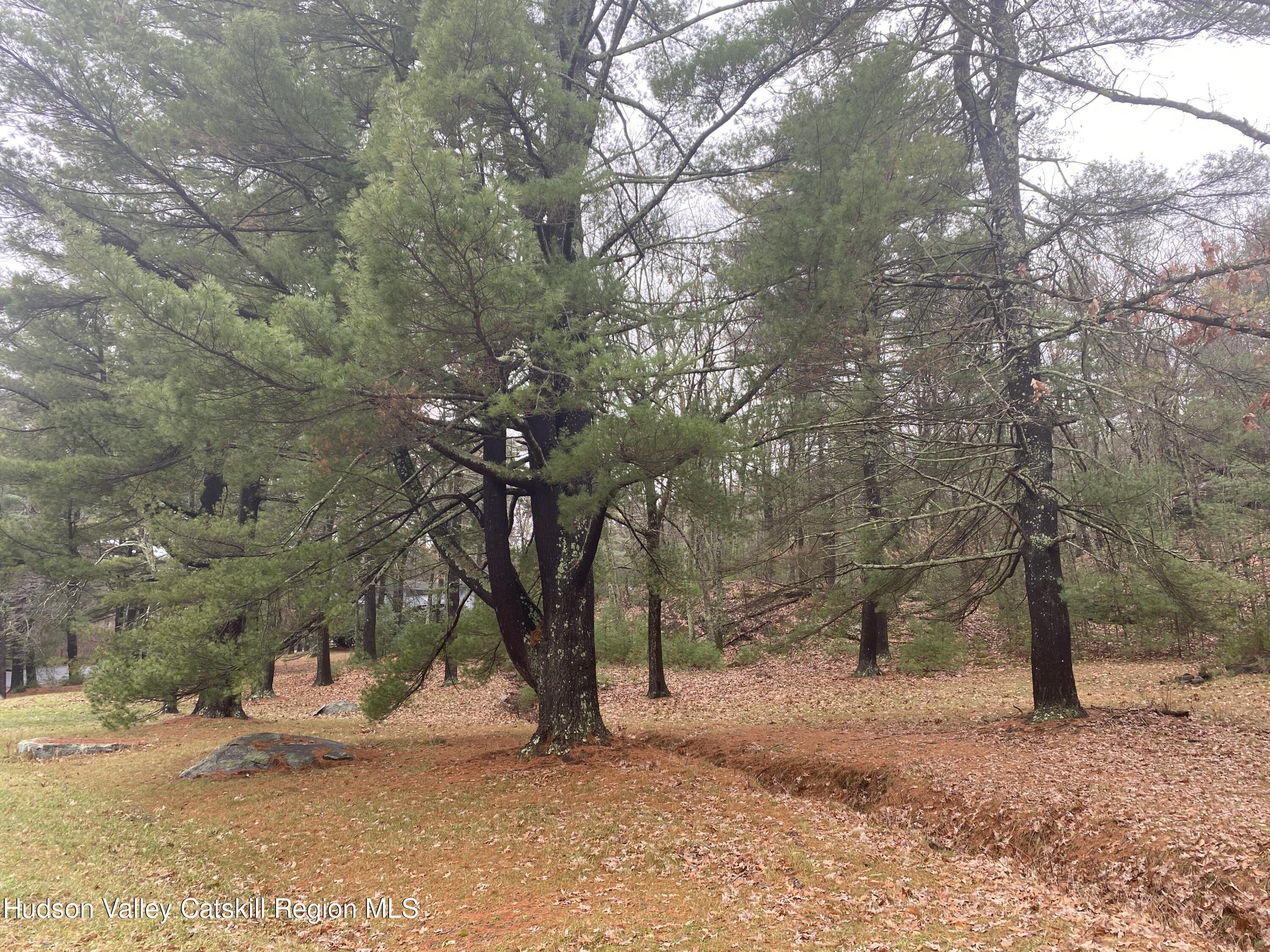 Tbd Dianne Drive, Ellenville, New York image 11