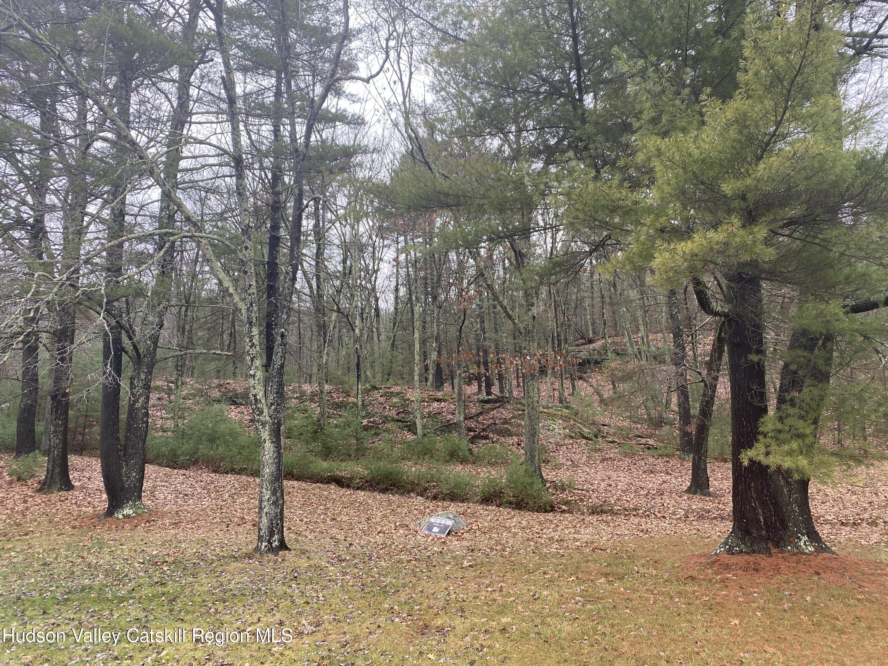 Tbd Dianne Drive, Ellenville, New York image 5