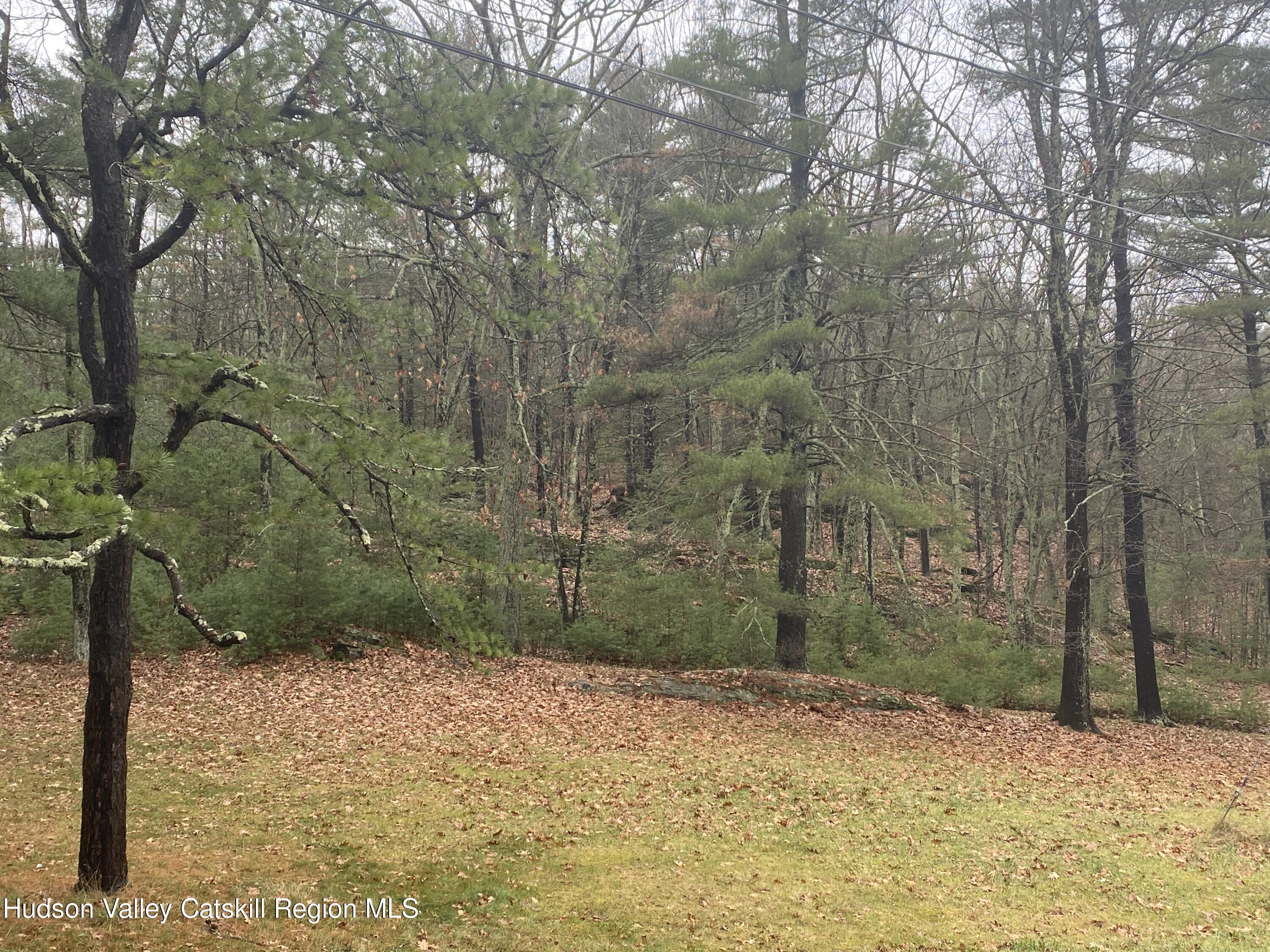 Tbd Dianne Drive, Ellenville, New York image 3